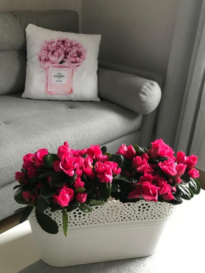Glamour Apartment Przy Plazy, Z Parkingiem Prywatnym Sopot Eksteriør bilde